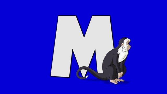 Letter M and  Monkey  (foreground)	Animated animal alphabet. Motion graphic with chroma key. Animal in a foreground of a letter.