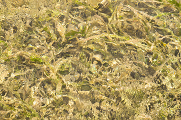 Shallow sea water background photo