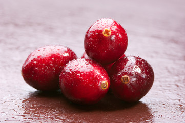 Wet fresh wild cranberries. Studio shoot.