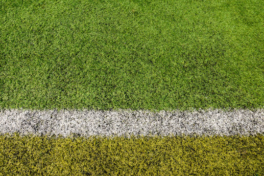 green grass for sport background