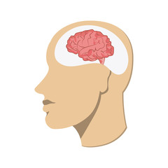 Human head icon. Thinking design. Vector graphic