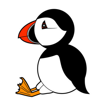 recommend clip art: puffin vector illustration on white background
