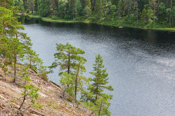 Pine trees growing on the rock face down to the Lake