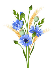 Vector bouquet of blue cornflowers and ears of wheat isolated on a white background.
