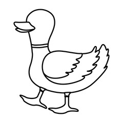 Farm animal concept represented by duck cartoon icon. isolated and flat illustration 