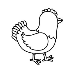 Farm animal concept represented by chicken cartoon icon. isolated and flat illustration 