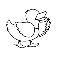 Farm animal concept represented by duck cartoon icon. isolated and flat illustration 