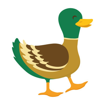 Farm animal concept represented by duck cartoon icon. isolated and flat illustration 