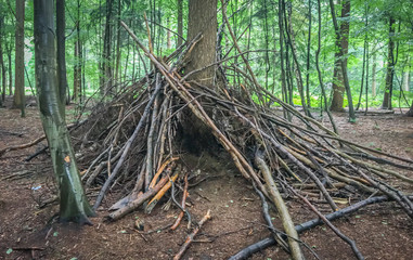 tree hut in the forest