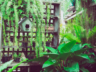 Urban Balcony garden.
