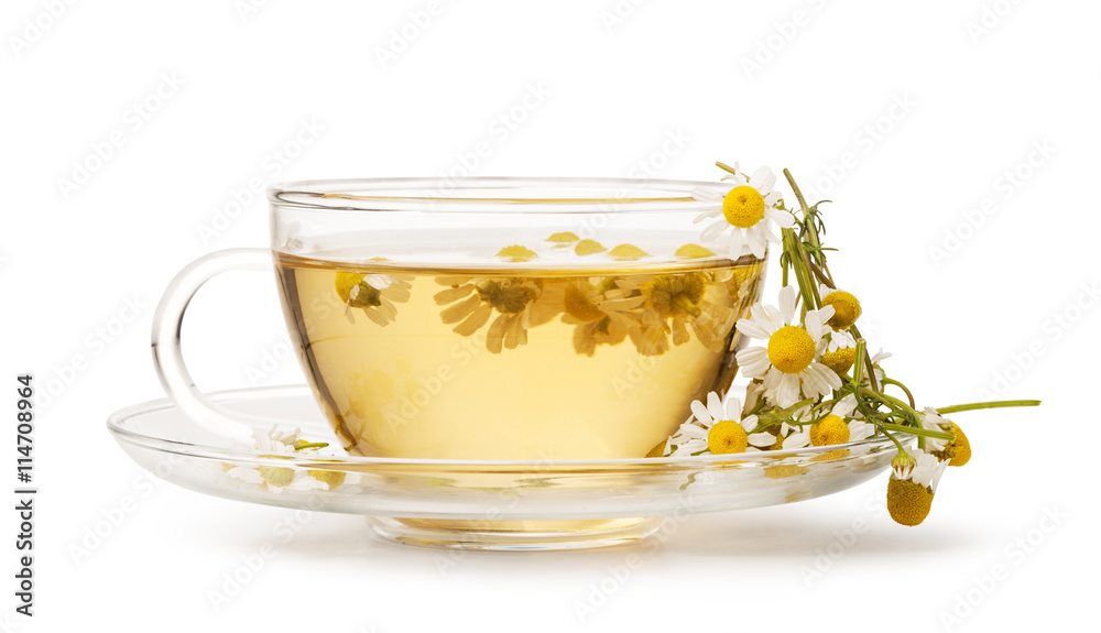 Canvas Prints Cup of medicinal chamomile tea