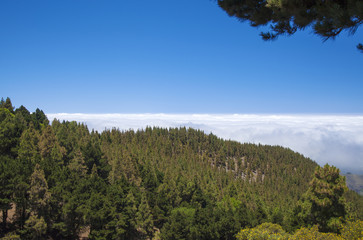 Inland Central Gran Canaria, Las Cumbres, highest areas of the i