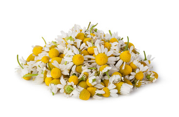 Medical Chamomile