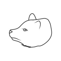 Animal concept represented by bear cartoon icon. isolated and flat illustration 