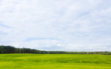 Fototapeta premium Green field and blue sky