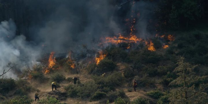 Firefighters digging a fire line across path of blaze burning in brush and trees
