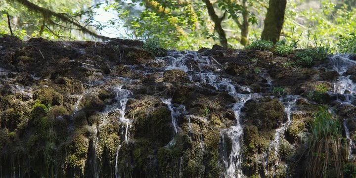 Streams of water cascading over a slope of mossy rocks