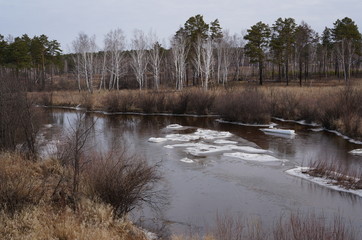 Ice drift on the forest river 