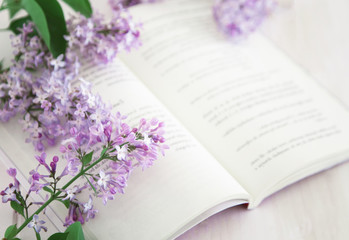 Blurry bright still life with open book and pink flowers. Pink color flowers over opened book....