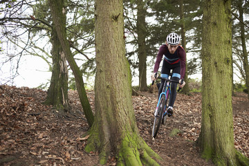 Fototapeta na wymiar Cross-country cyclist riding between trees, front view