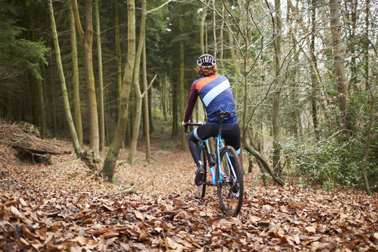 Cross-country cyclist pauses in a forest, back view