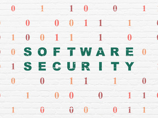 Privacy concept: Software Security on wall background