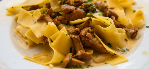 Tagliatelle pasta with finferli mushroom