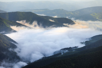 scenic view of mountain forests covering by fog