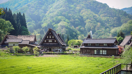 Fototapeta na wymiar 五箇山合掌村の風景