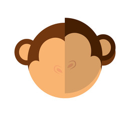 Cute animal concept represented by head of cartoon monkey icon. Isolated and Flat illustration