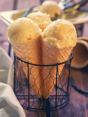 Homemade Vanilla Ice Cream 