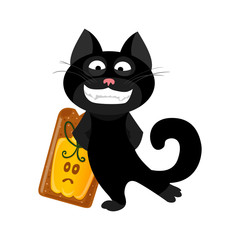 Funny cat isolated on white background.