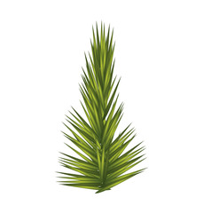 Merry Christmas concept represented by pine tree  icon. isolated and flat illustration 