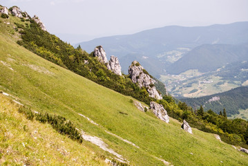 Obraz premium mountain meadow with dolomitian rocks on Velky Rozsutec hill in Mala Fatra mountains