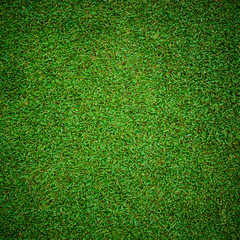 Obraz premium Beautiful green grass pattern from golf course