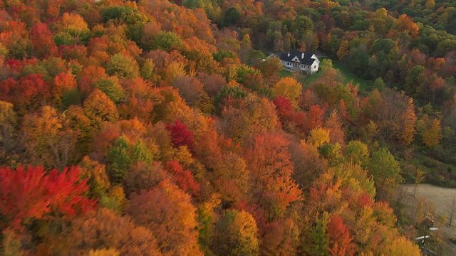 Low flight over autumn woods in rural New England