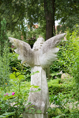 Engel von hinten