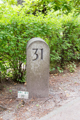 Feldstein