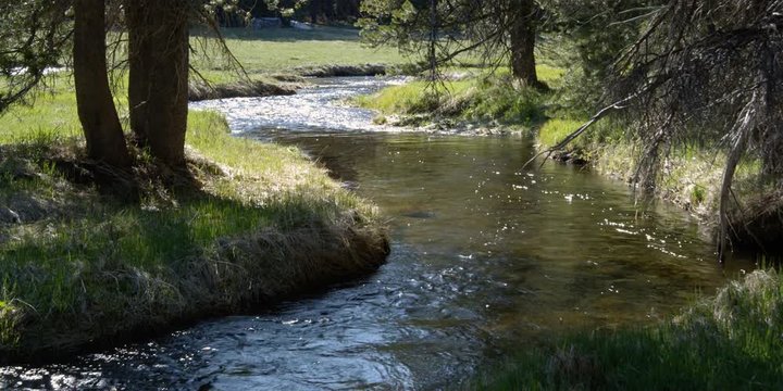 Mountain stream curving between grassy banks