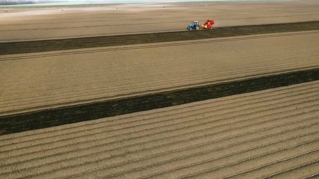 An Aerial View of a Tractor Planting Potatoes in the Fertile Fields of the Farm in the Spring.The Introduction of Fungicides