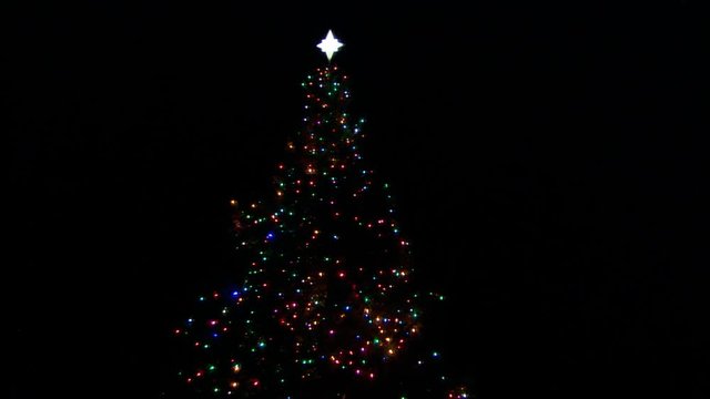 A lighted outdoor Christmas tree at night