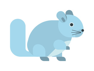 Young squirrel cute little wild animal funny rodent. Fluffy nature vertebrate squirrel isolated animal. American paw vector tail adorable squirrel isolated domestic pretty carolinensis.