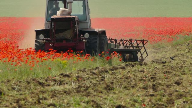 Tractor Mowing Poppy Field