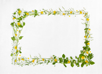 Beautiful frame of meadow flower on white background