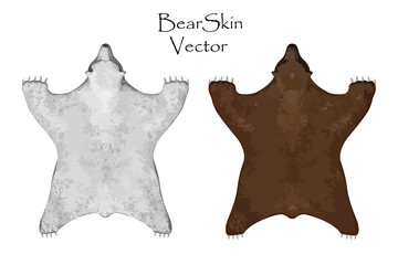 Bear pelt. Big brown and white bear . Hunting trophy. Vector illustration. Interior Design Set