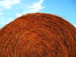 Hay bale and blue sky