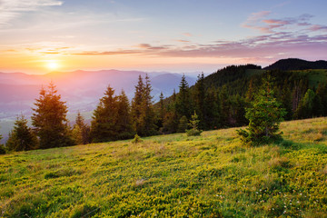 Fototapeta na wymiar Beautiful sunset in the Carpathian Mountains Ukraine.