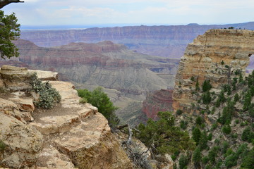 Fototapeta na wymiar The North Rim of the Grand Canyon in June. 
