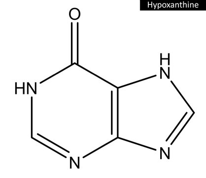 Molecular structure of hypoxanthine