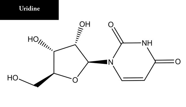 Molecular structure of uridine